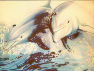 dolfijnen2.jpg